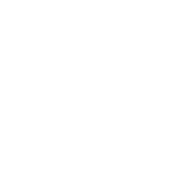 JUST JUNKIES Logo
