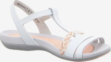 CLARKS Sandalen met riem 'Tealite Grace' in Wit