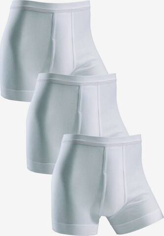 CLIPPER Boxer shorts in White: front