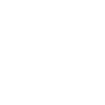 RAIDO Logo