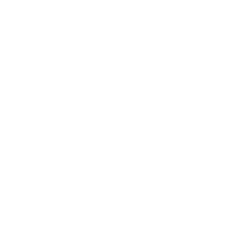 JDY Petite Logo