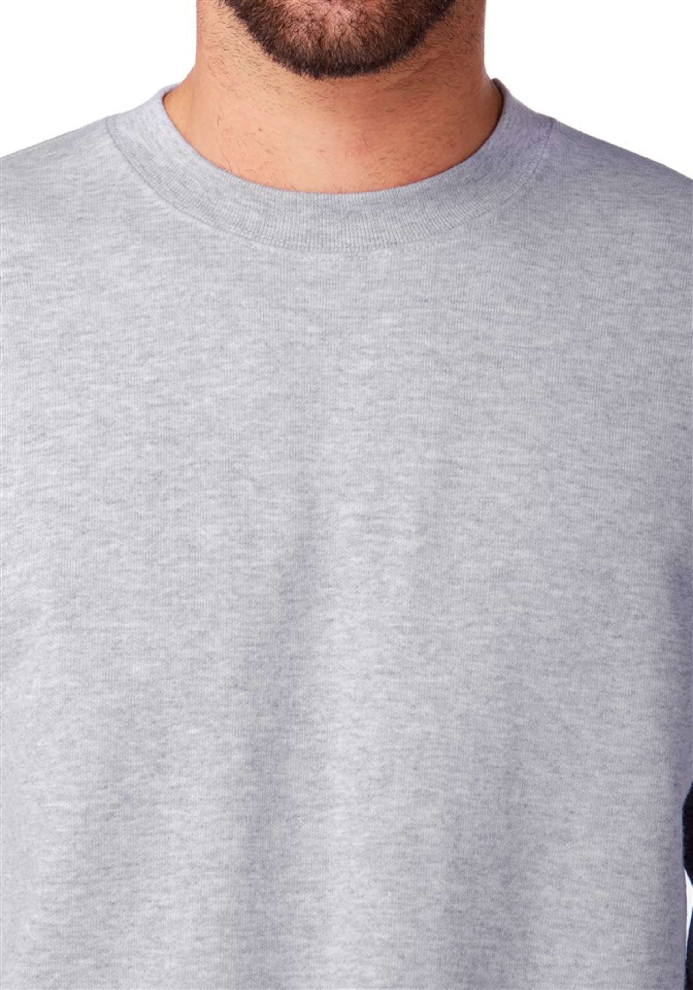 FRUIT OF THE LOOM Sweatshirt in Grau