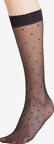 FALKE Κάλτσες μακριές 'Dot 15 DEN' σε μαύρο