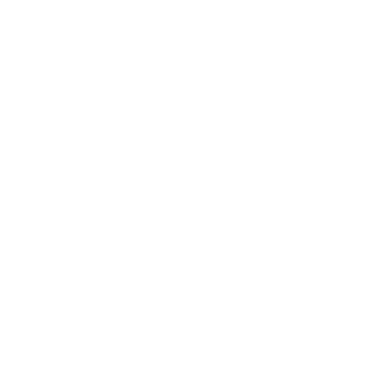 Soulland Logo