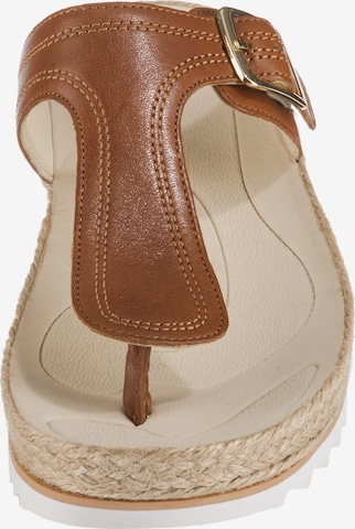 GABOR Teenslipper in Bruin