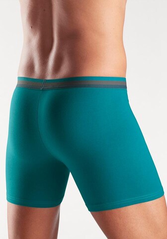 BENCH Boxer shorts in Grey