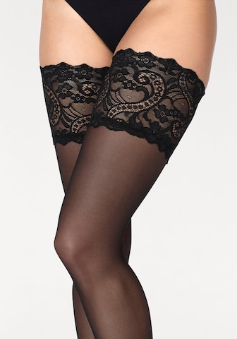 GLAMORY Fine Stockings in Black