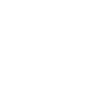 Papell Studio Logo