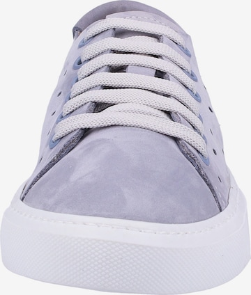 Darkwood Sneakers in Purple