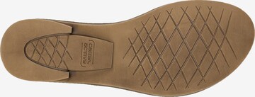 CAMEL ACTIVE Pantolette in Schwarz