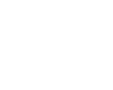 PYRENEX Logo