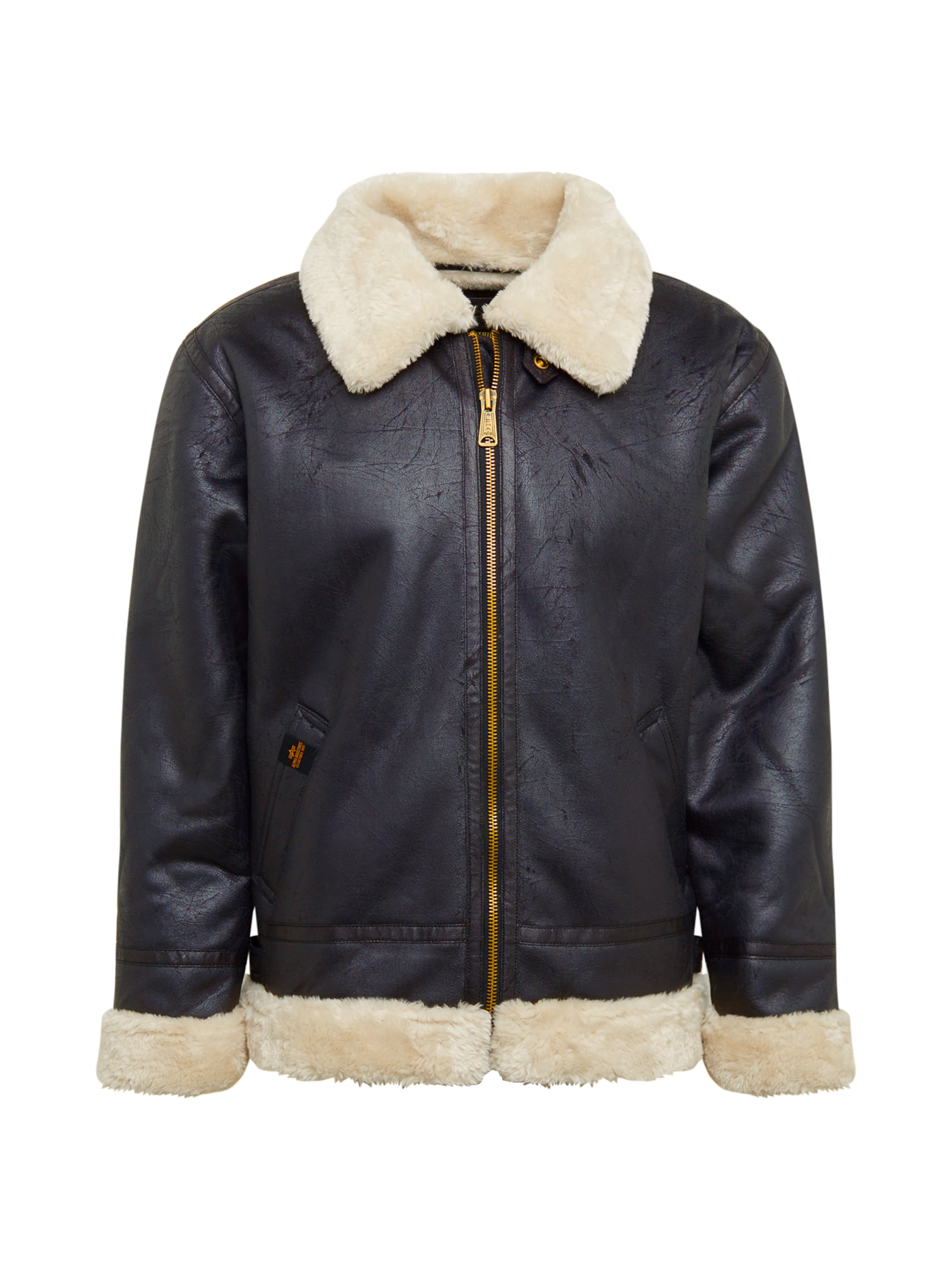 ALPHA INDUSTRIES Зимно яке в черно: отпред