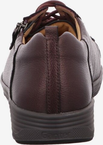 Ganter Lace-Up Shoes in Brown