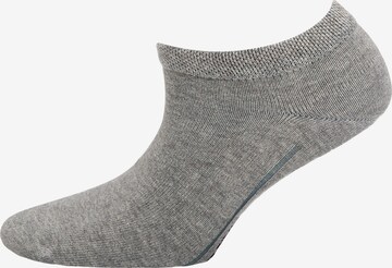 camano Socks in Grey