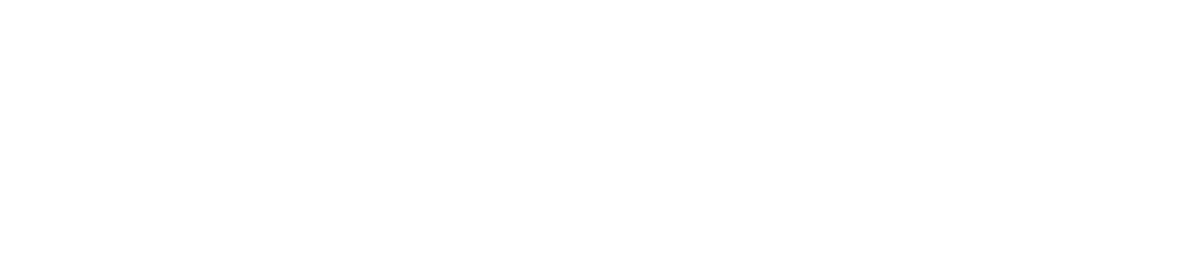 Selected Homme Logo