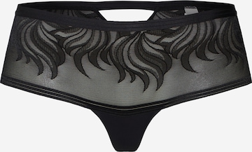 TRIUMPH Panty 'Palm Spotlight' in Schwarz: predná strana