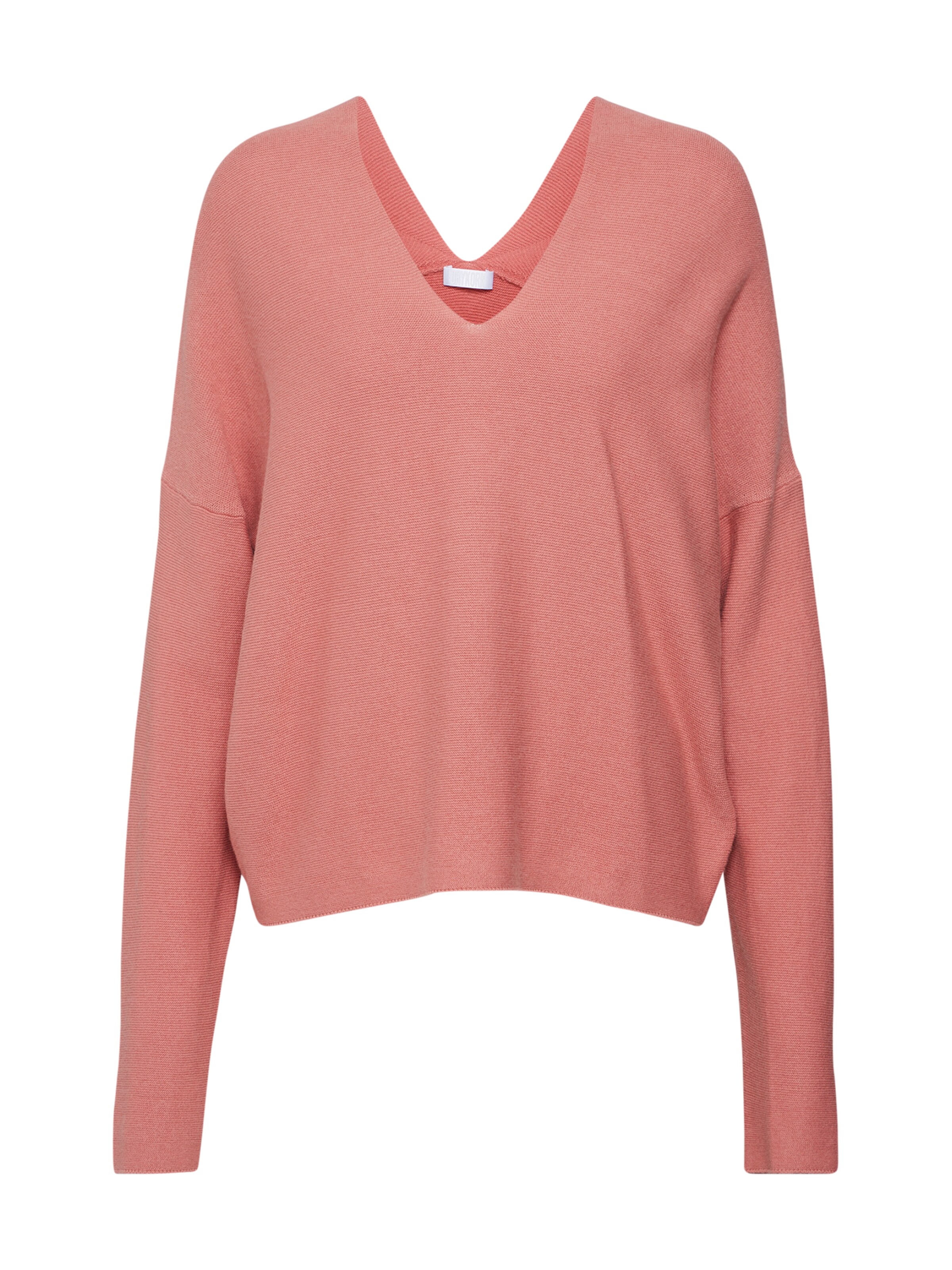 DRYKORN - Trui 'FELINE' in de kleur Pitaja roze