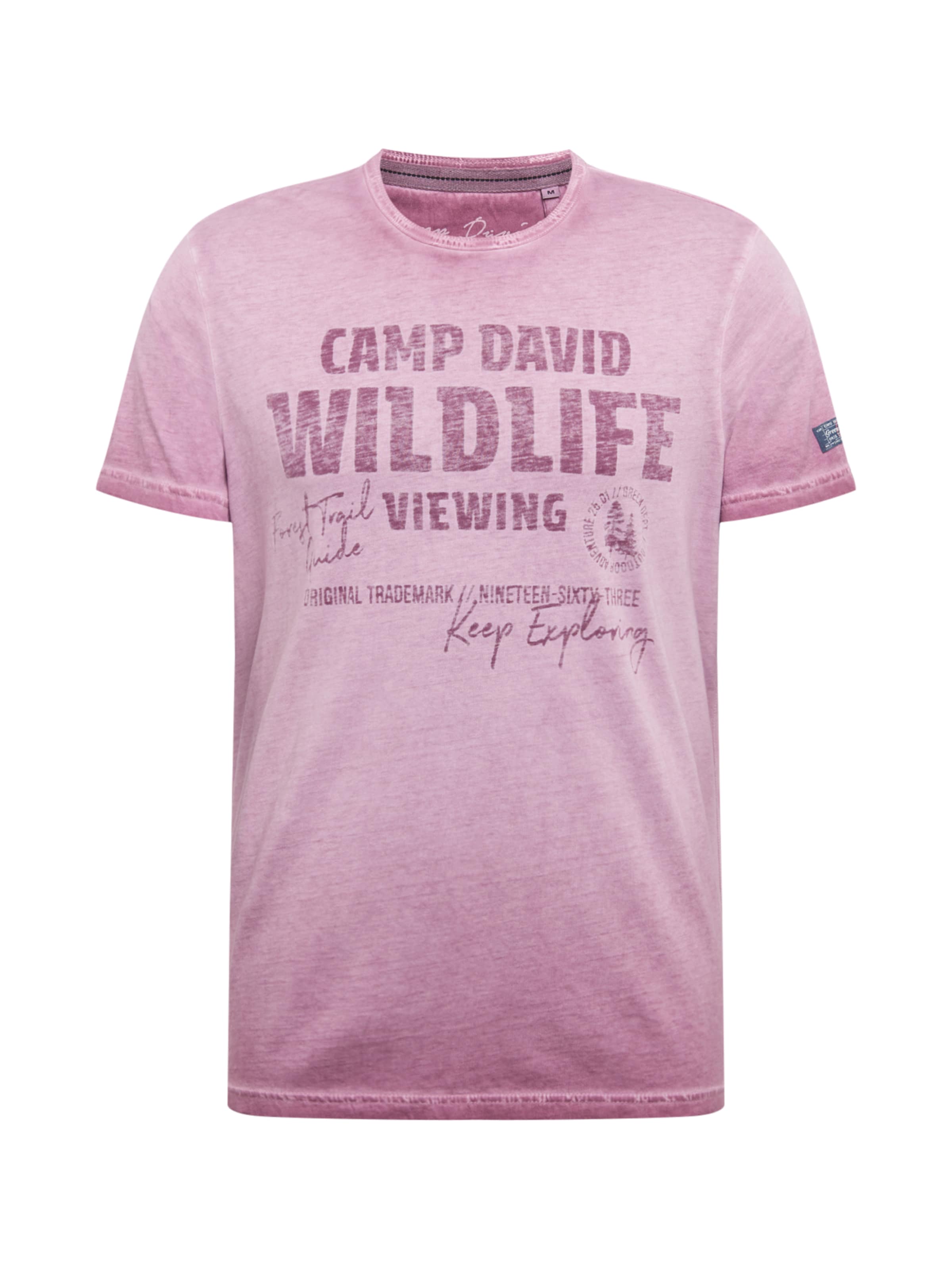 CAMP DAVID - Shirt in de kleur Pruim