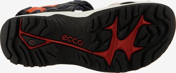 ECCO Sandale in Mischfarben