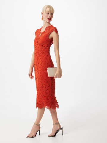 IVY OAK Kleid in Rot