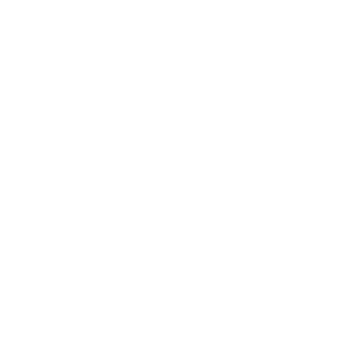 Twinset Logo