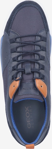 GEOX Sneaker in Blau