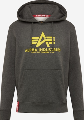 Felpa di ALPHA INDUSTRIES in grigio: frontale