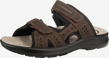 JOMOS Mules 'Mobila' in Brown: front