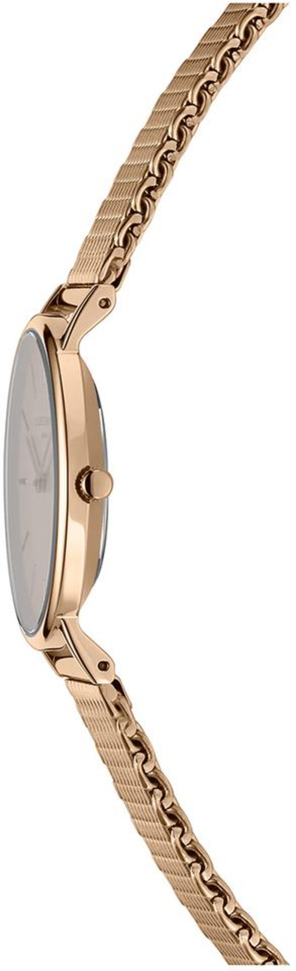 Montre à affichage analogique Liebeskind Berlin en or