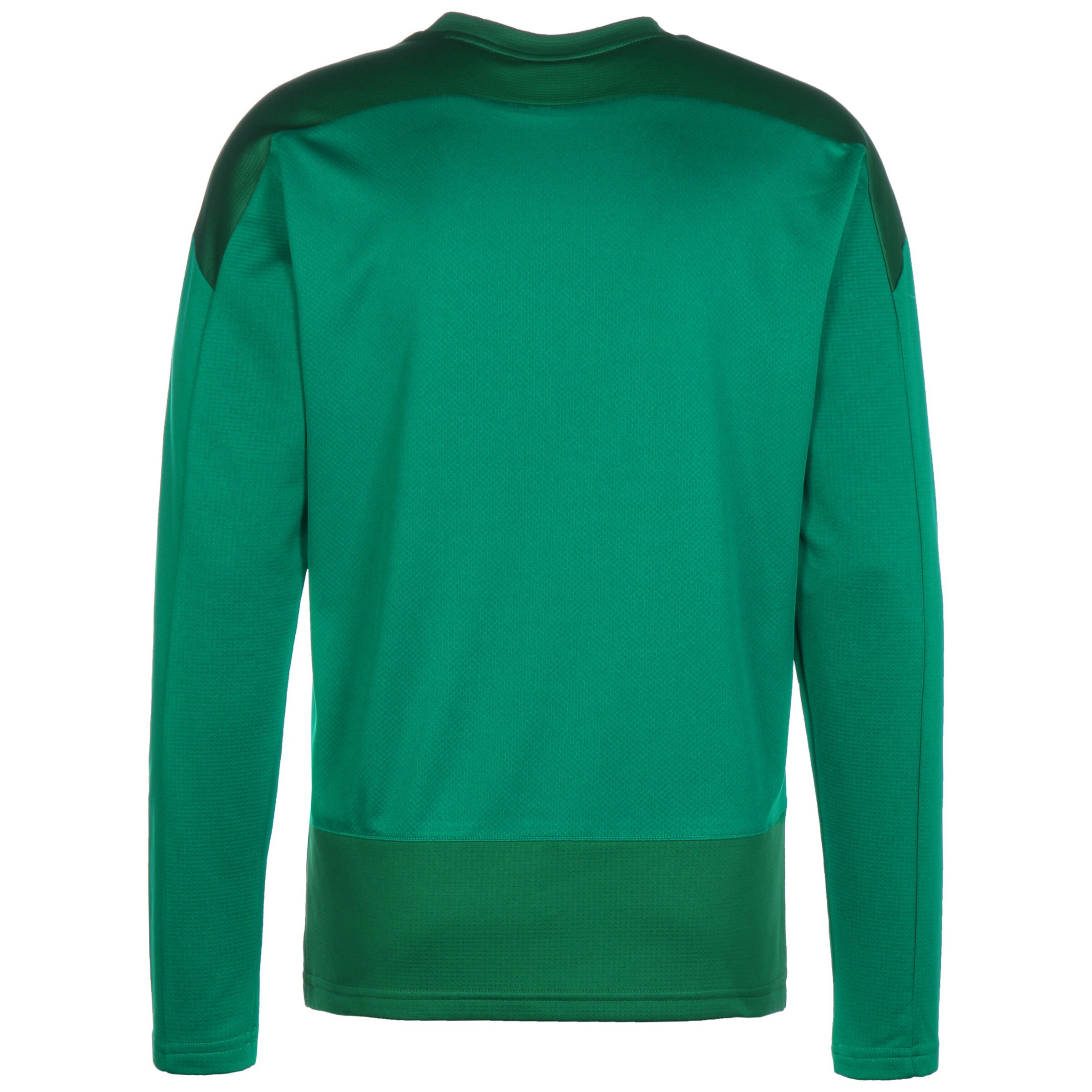 PUMA Sportsweatshirt 'TeamGOAL 23' in Grün