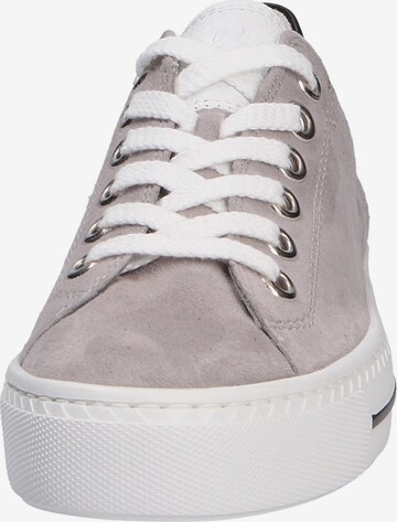 Paul Green Sneakers in Grey