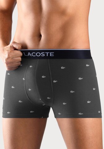 Regular Boxers LACOSTE en bleu : devant