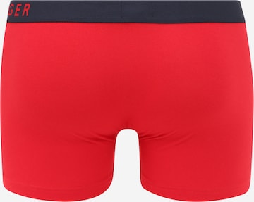 Tommy Hilfiger Underwear Normalny krój Bokserki w kolorze mieszane kolory