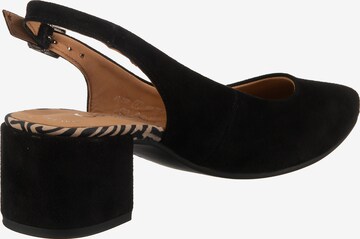 GABOR Pumps in Schwarz