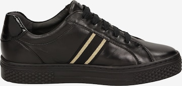 SIOUX Sneaker in Schwarz