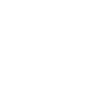 Fiorucci Logo