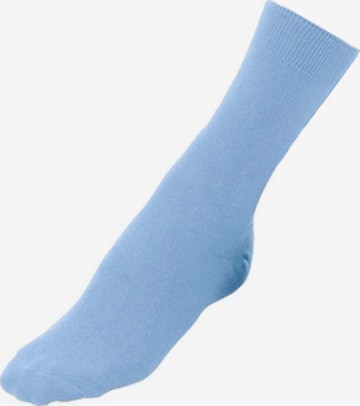 GO IN Socks in Blue: front