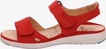 Ganter Sandals in Red