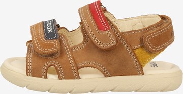 Chaussures ouvertes GEOX en marron