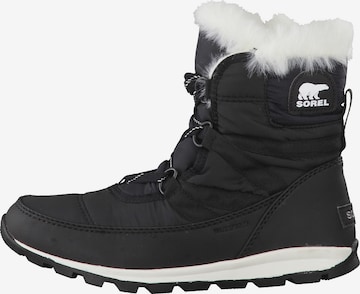 SOREL Stiefelette 'Whitney Short Lace' in Schwarz