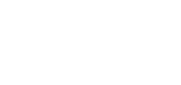 Nobody's Child Logo