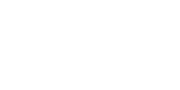 NEW CANADIAN Logo