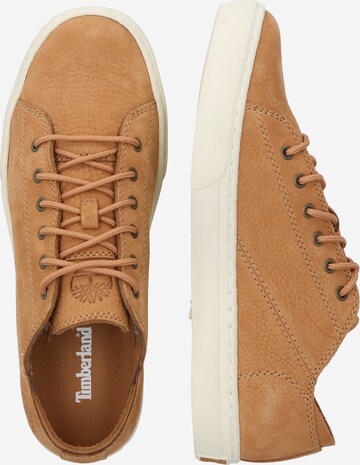 TIMBERLAND Sneakers in Brown