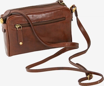 The Bridge Crossbody Bag 'Story Donna' in Brown