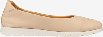 Darkwood Ballet Flats in Beige