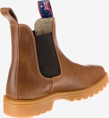 Blue Heeler Chelsea Boots 'Sydney' in Braun