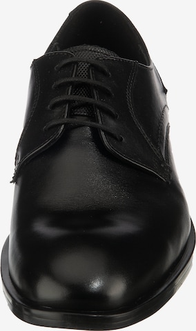 LLOYD Lace-Up Shoes in Black