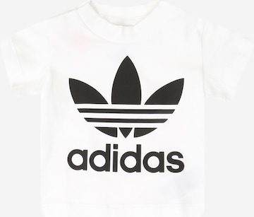 ADIDAS ORIGINALS T-Shirt 'Trefoil' in Weiß: predná strana