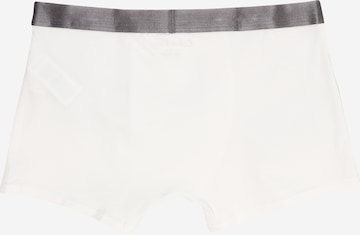 Calvin Klein Underwear Trunks in Grau: zadná strana