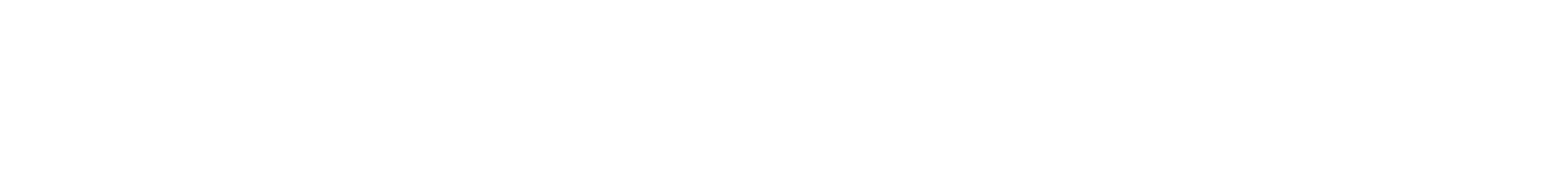 VINGINO Logo